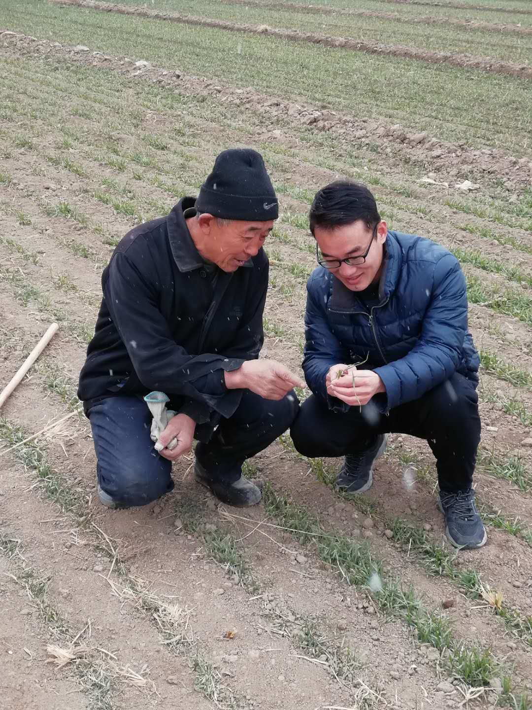 治理有效