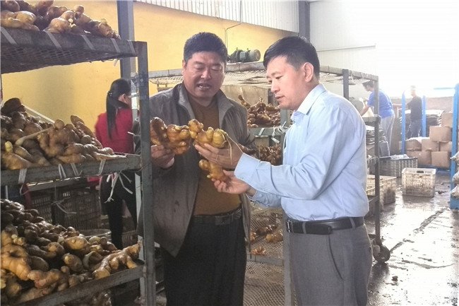食品科学与工程帝豪娱乐官网新手怎么玩