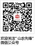 帝豪国际