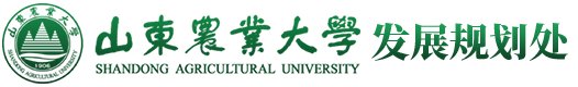 帝豪国际